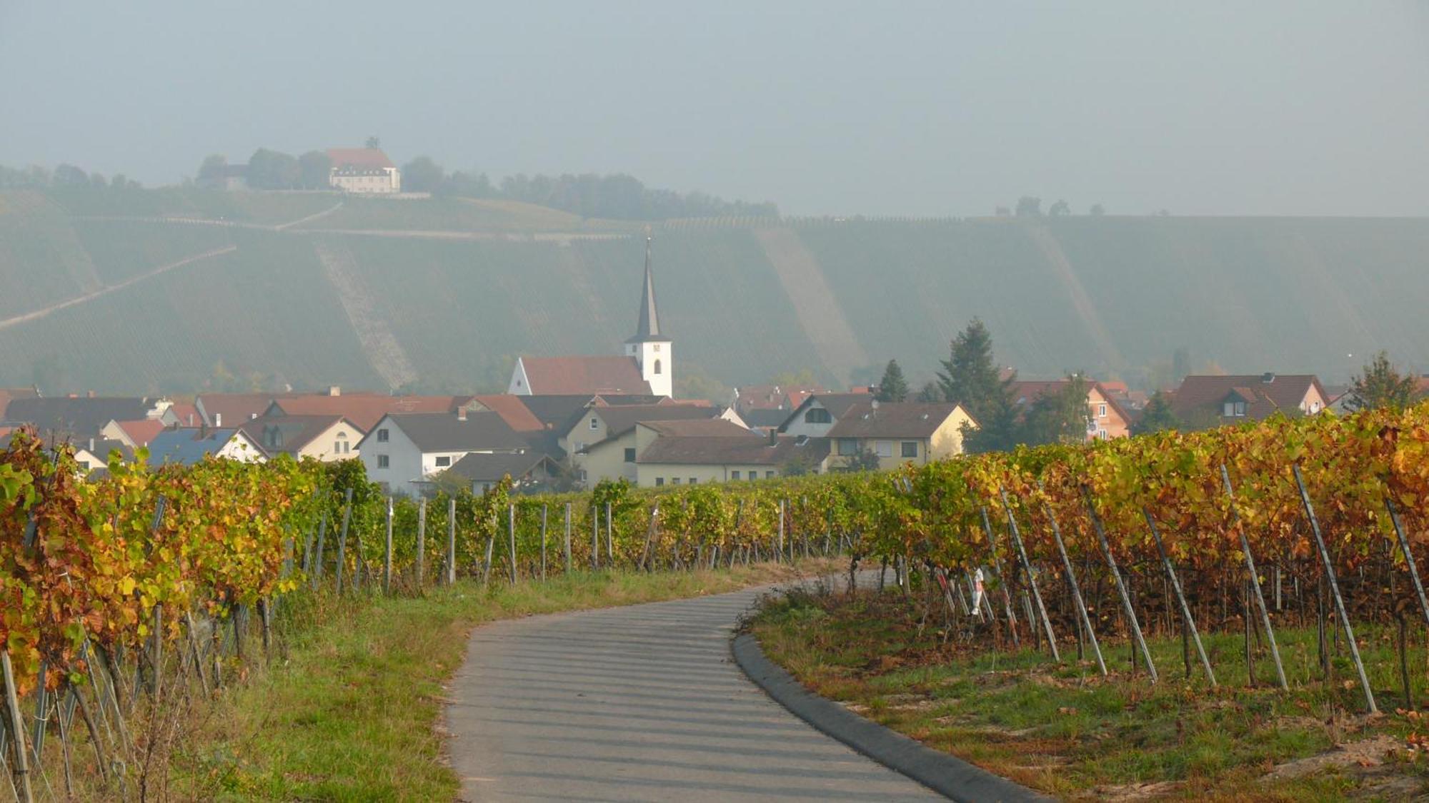 Weingut Herbert Kram 노르트하임 외부 사진