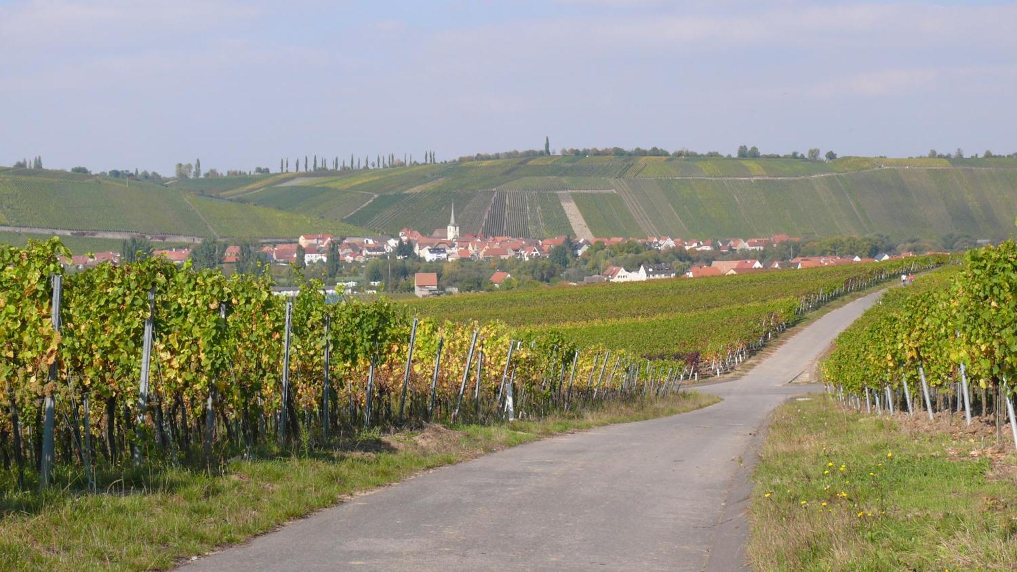 Weingut Herbert Kram 노르트하임 외부 사진