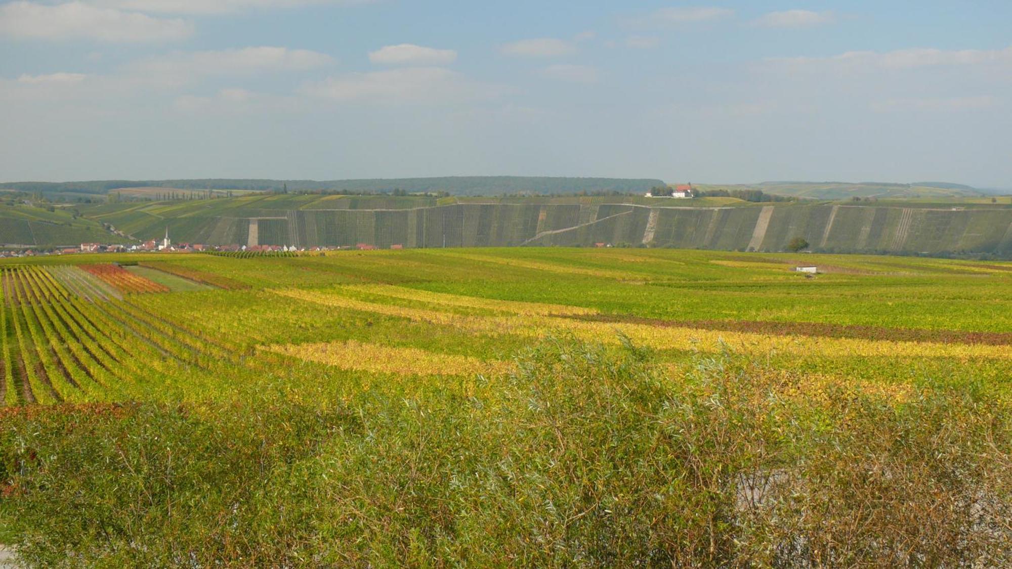 Weingut Herbert Kram 노르트하임 외부 사진